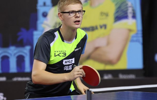 这一论点不 这一论点不